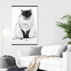 Magnetic 28 x 42 - Blue eyes fluffy siamese cat