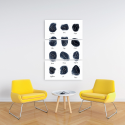 Canvas 24 x 36 - Constellations zodiac signs