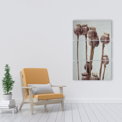 Toile 24 x 36 - Plantes à tête de pavot sépia