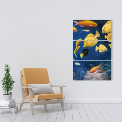 Canvas 24 x 36 - Fish under the sea