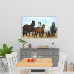 Canvas 24 x 36 - Horses in the meadow by the sun