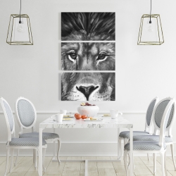 Canvas 24 x 36 - Lion portrait