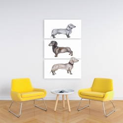 Canvas 24 x 36 - Dachshund dogs