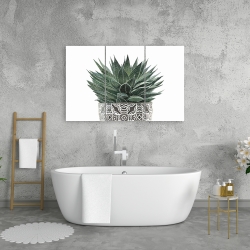 Canvas 24 x 36 - Zebra plant succulent