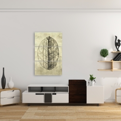 Canvas 24 x 36 - Translucent