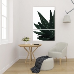 Toile 24 x 36 - Plante aloès