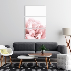 Toile 24 x 36 - Peonie, fleur de rêve