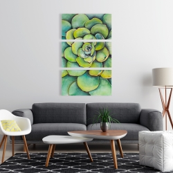 Toile 24 x 36 - Succulent à l'aquarelle