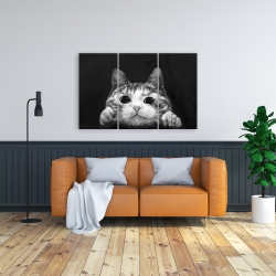 Toile 24 x 36 - Chat curieux