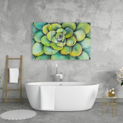 Toile 24 x 36 - Succulent à l'aquarelle