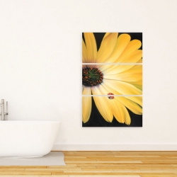 Canvas 24 x 36 - Yellow daisy and ladybug