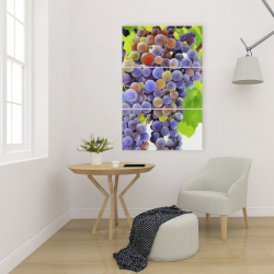 Canvas 24 x 36 - Bunch of grapes