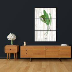Canvas 24 x 36 - Sage on wood