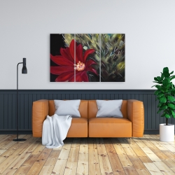 Canvas 24 x 36 - Echinopsis red cactus flower