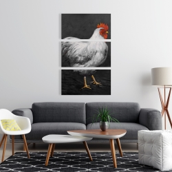 Canvas 24 x 36 - Grey rooster 2