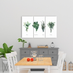 Canvas 24 x 36 - Fine herbs