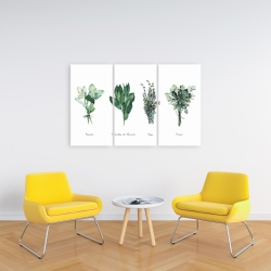 Toile 24 x 36 - Fines herbes