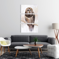 Canvas 24 x 36 - Barred owl