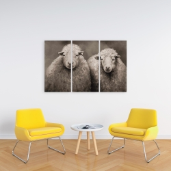 Toile 24 x 36 - Moutons sépia