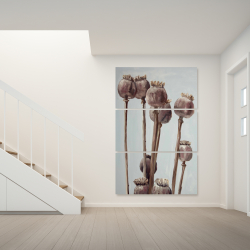 Toile 40 x 60 - Plantes à tête de pavot sépia