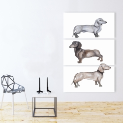 Toile 40 x 60 - Chiens teckel