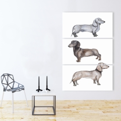Canvas 40 x 60 - Dachshund dogs
