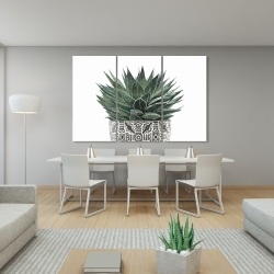 Canvas 40 x 60 - Zebra plant succulent