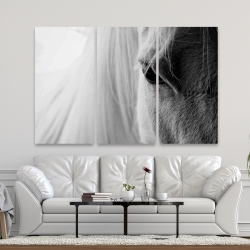 Canvas 40 x 60 - The white horse eye