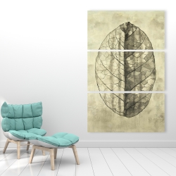 Canvas 40 x 60 - Translucent