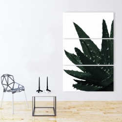 Toile 40 x 60 - Plante aloès