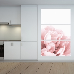 Toile 40 x 60 - Peonie, fleur de rêve
