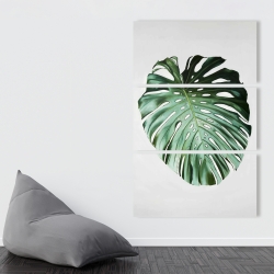 Canvas 40 x 60 - Monstera leaf
