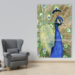 Toile 40 x 60 - Paon