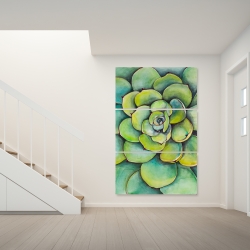 Toile 40 x 60 - Succulent à l'aquarelle