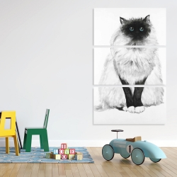 Canvas 40 x 60 - Blue eyes fluffy siamese cat