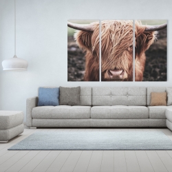 Toile 40 x 60 - Vache highland désaturée