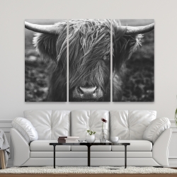 Canvas 40 x 60 - Monochrome portrait highland cow