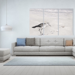 Canvas 40 x 60 - Semipalmated sandpiper
