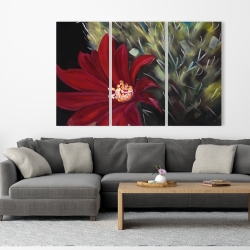Canvas 40 x 60 - Echinopsis red cactus flower