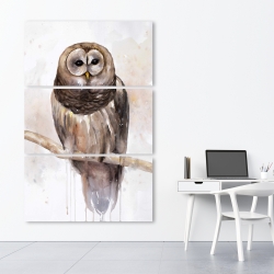 Canvas 40 x 60 - Barred owl