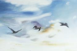 Birds in the sky