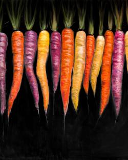 Variétés de carottes