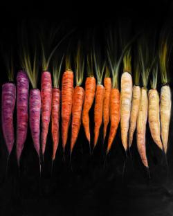 Colorful carrots