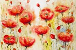 Red flowers garden