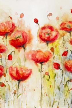 Red flowers garden