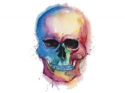 Crâne coloré aquarelle