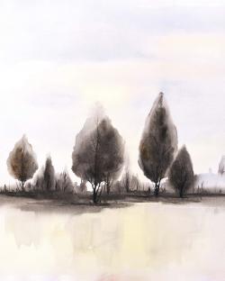 Landscape of trees
