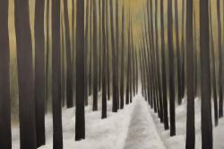 Hiking in the forest