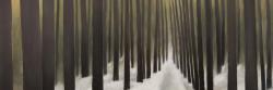 Hiking in the forest