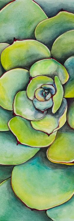 Succulent à l'aquarelle